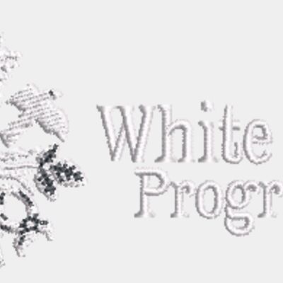 Embroidery Thumbnail